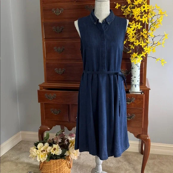 Banana Republic Chambray Denim Blue
Sleeveless Lyocell Shirtdress Size 10 - Picture 12 of 14